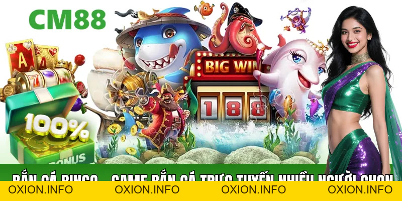 Bắn Cá Bingo – Trò Chơi Bắn Cá Sôi Động, Dễ Tiếp Cận - OXION.INFO