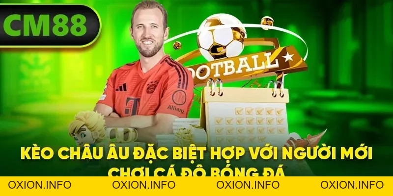 Kèo Châu Âu – Kèo Lựa Chọn An Toàn Số 1 Của Tân Binh - OXION.INFO