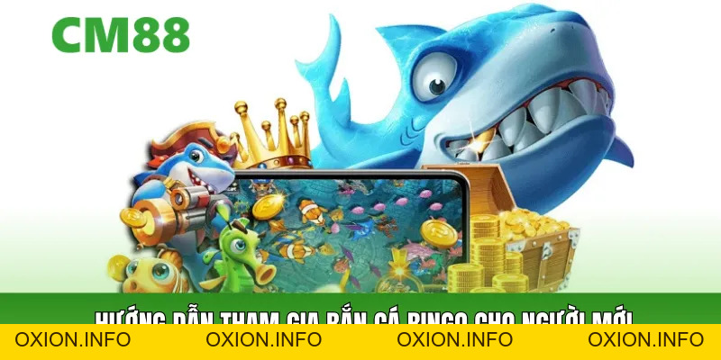 Bắn Cá Bingo – Trò Chơi Bắn Cá Sôi Động, Dễ Tiếp Cận - OXION.INFO