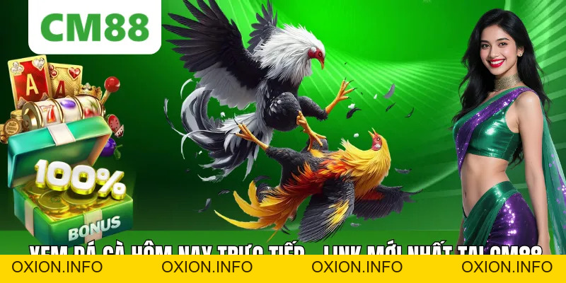 Xem Đá Gà Hôm Nay Trực Tiếp HD – Link Mới Nhất Tại CM88 - OXION.INFO