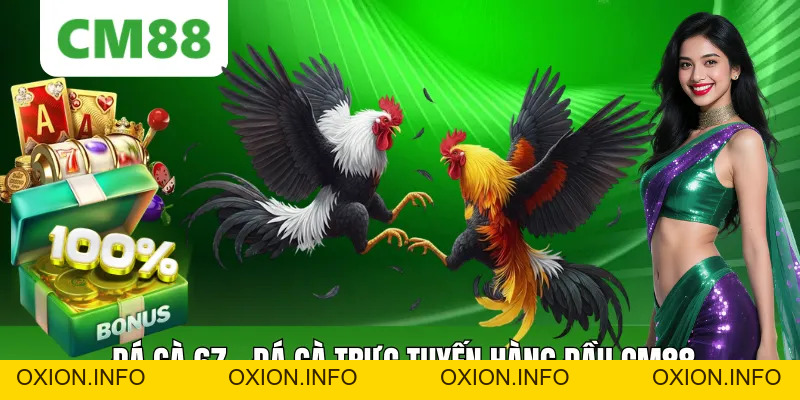 Đá Gà 67 Tại CM88 – Xem Đá Gà Trực Tuyến Đến Kịch Tính - OXION.INFO