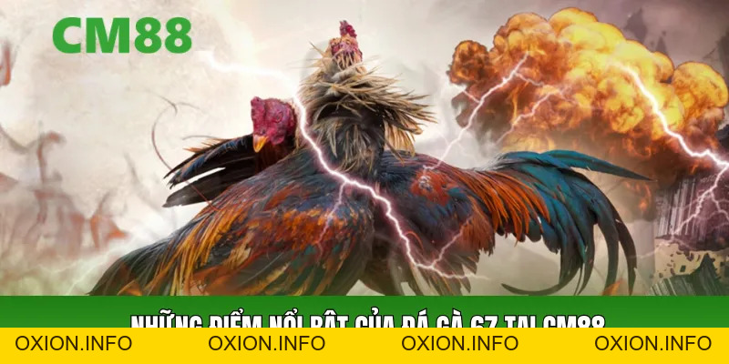 Đá Gà 67 Tại CM88 – Xem Đá Gà Trực Tuyến Đến Kịch Tính - OXION.INFO