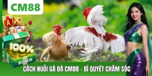 Đá Gà CM88 – Thế Giới Chiến Kê Đỉnh Cao, Cá Cược Kịch Tính - OXION.INFO