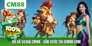 Đá Gà CM88 – Thế Giới Chiến Kê Đỉnh Cao, Cá Cược Kịch Tính - OXION.INFO
