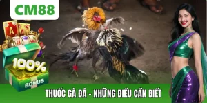 Đá Gà CM88 – Thế Giới Chiến Kê Đỉnh Cao, Cá Cược Kịch Tính - OXION.INFO
