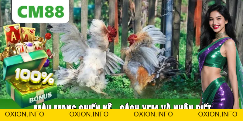 Màu Mạng Chiến Kê CM88: Cách Xem Màu Và Nhận Biết Cơ Bản - OXION.INFO