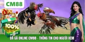 Đá Gà CM88 – Thế Giới Chiến Kê Đỉnh Cao, Cá Cược Kịch Tính - OXION.INFO
