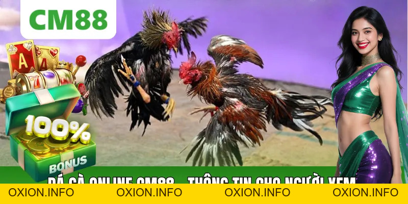 Đá Gà Online CM88: Thông Tin Và Cách Theo Dõi Dễ Hiểu - OXION.INFO