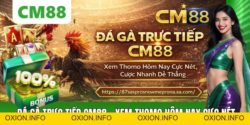 Đá Gà Trực Tiếp CM88 – Xem Thomo Hôm Nay, Cược Lẹ Thắng Lớn - OXION.INFO