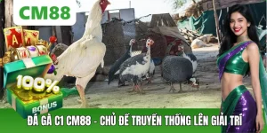 Đá Gà CM88 – Thế Giới Chiến Kê Đỉnh Cao, Cá Cược Kịch Tính - OXION.INFO
