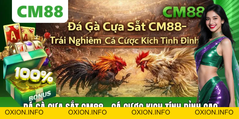 Đá Gà Cựa Sắt CM88 – Xem Trực Tiếp, Cược Nhanh Thắng Lớn - OXION.INFO