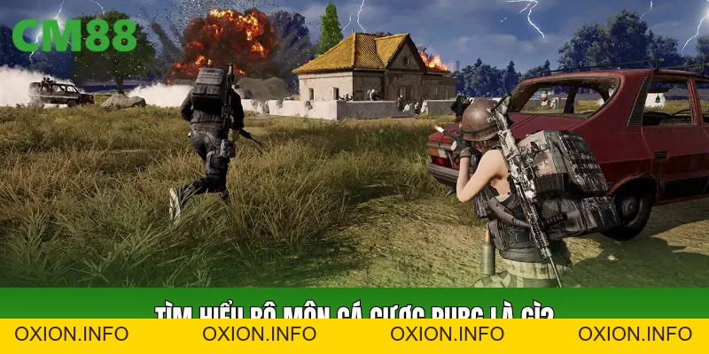 Cá Cược PUBG Cách Theo Dõi Kèo, Phân Tích Trận Đấu Hiệu Quả - OXION.INFO