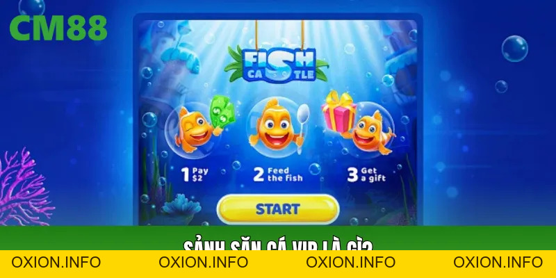 Sảnh Săn Cá VIP Không Gian Giải Trí Đẳng Cấp Dễ Trúng Thưởng - OXION.INFO