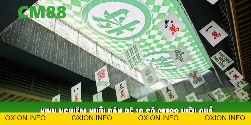 Dàn Đề 10 Số CM88 – Cách Nuôi Đề Ổn Định, Tăng Tỷ Lệ Trúng - OXION.INFO