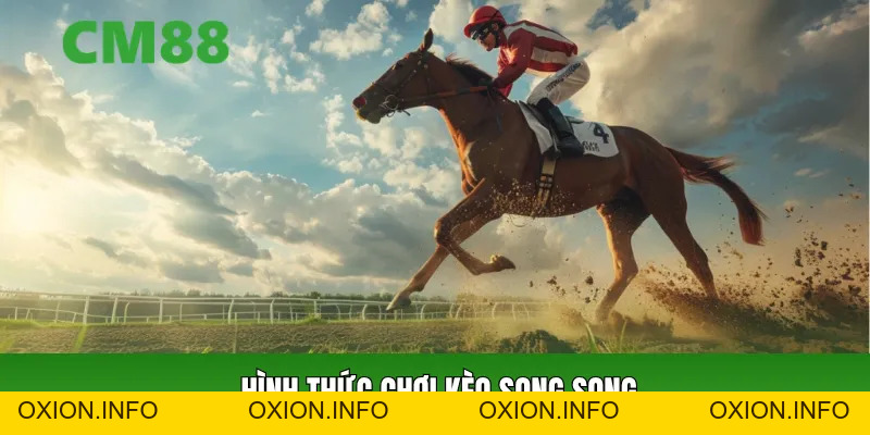 Cá Cược Đua Ngựa - 4 Tỷ Lệ Kèo Dễ Chơi Cho Bet Thủ Mới - OXION.INFO