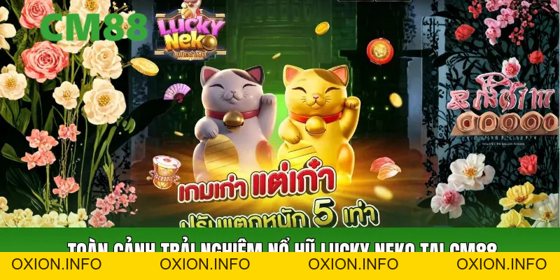 Nổ Hũ Lucky Neko CM88 – Slot Mèo May Mắn Săn Thưởng Khủng - OXION.INFO
