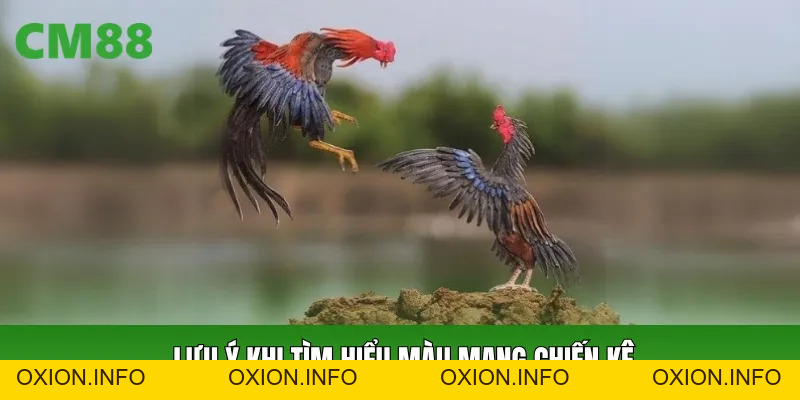 Màu Mạng Chiến Kê CM88: Cách Xem Màu Và Nhận Biết Cơ Bản - OXION.INFO