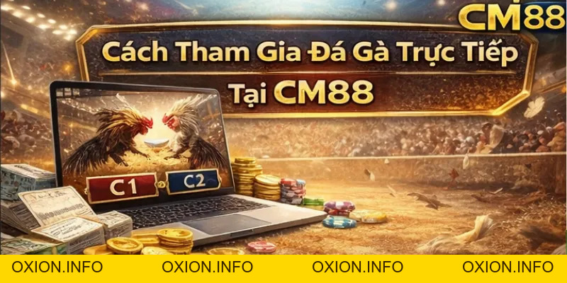 Đá Gà Trực Tiếp CM88 – Xem Thomo Hôm Nay, Cược Lẹ Thắng Lớn - OXION.INFO