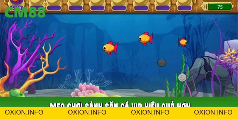 Sảnh Săn Cá VIP Không Gian Giải Trí Đẳng Cấp Dễ Trúng Thưởng - OXION.INFO