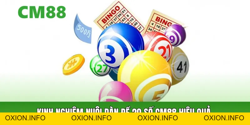 Dàn Đề 20 Số CM88 – Cách Nuôi Đề Ổn Định, Vốn Thấp Dễ Trúng - OXION.INFO