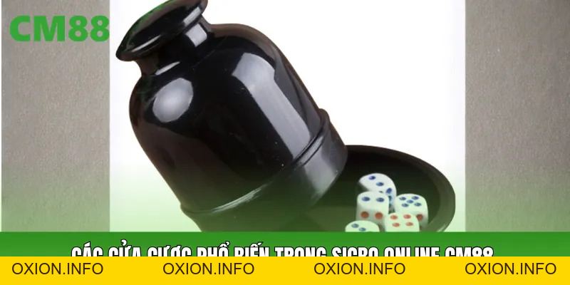 Sicbo Online Là Gì? Cách Chơi, Cửa Cược Và Kinh Nghiệm T4 - OXION.INFO