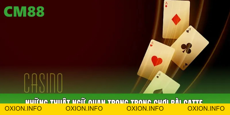 Chơi Bài Catte CM88: Luật Chơi Cơ Bản Và Kinh Nghiệm Giữ Bài - OXION.INFO